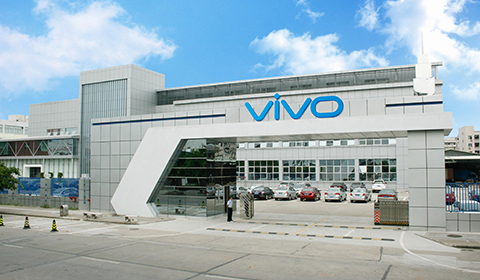 vivo